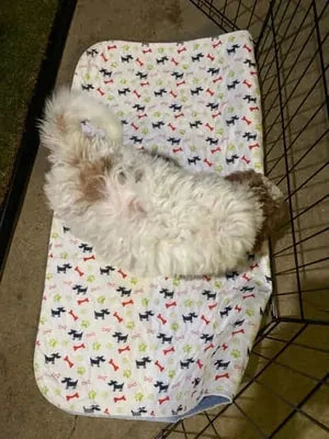 Jenny P. avec son tapis Pattéa