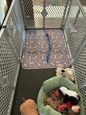Bruno A. avec son tapis Pattéa
