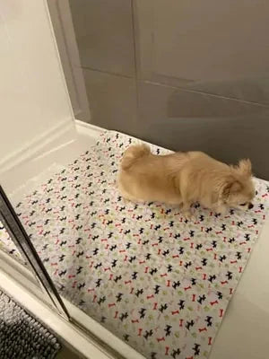 Jeanne D. avec son tapis Pattéa