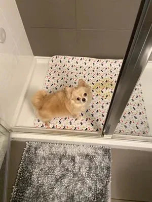 Jeanine Z. avec son tapis Pattéa