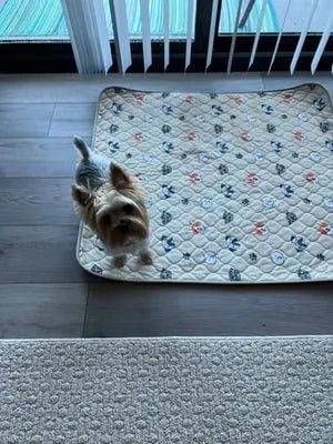 Charlotte H. avec son tapis Pattéa