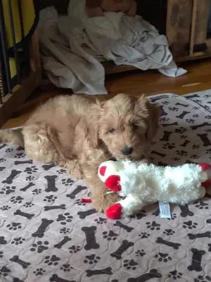 Charles M. avec son tapis Pattéa