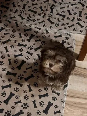 Hélène D. avec son tapis Pattéa