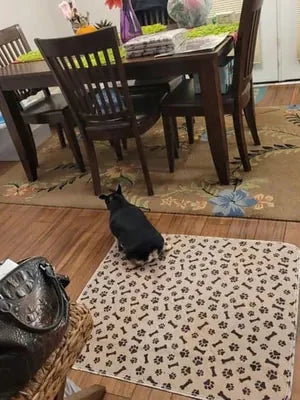 Diane E. avec son tapis Pattéa