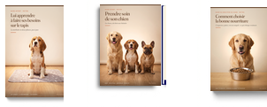Les 3 guides offerts
