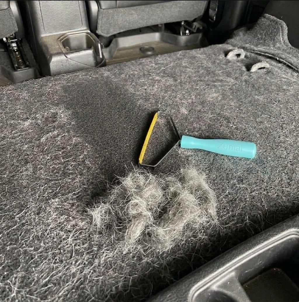 Enlève-poils sur un tapis de voiture
