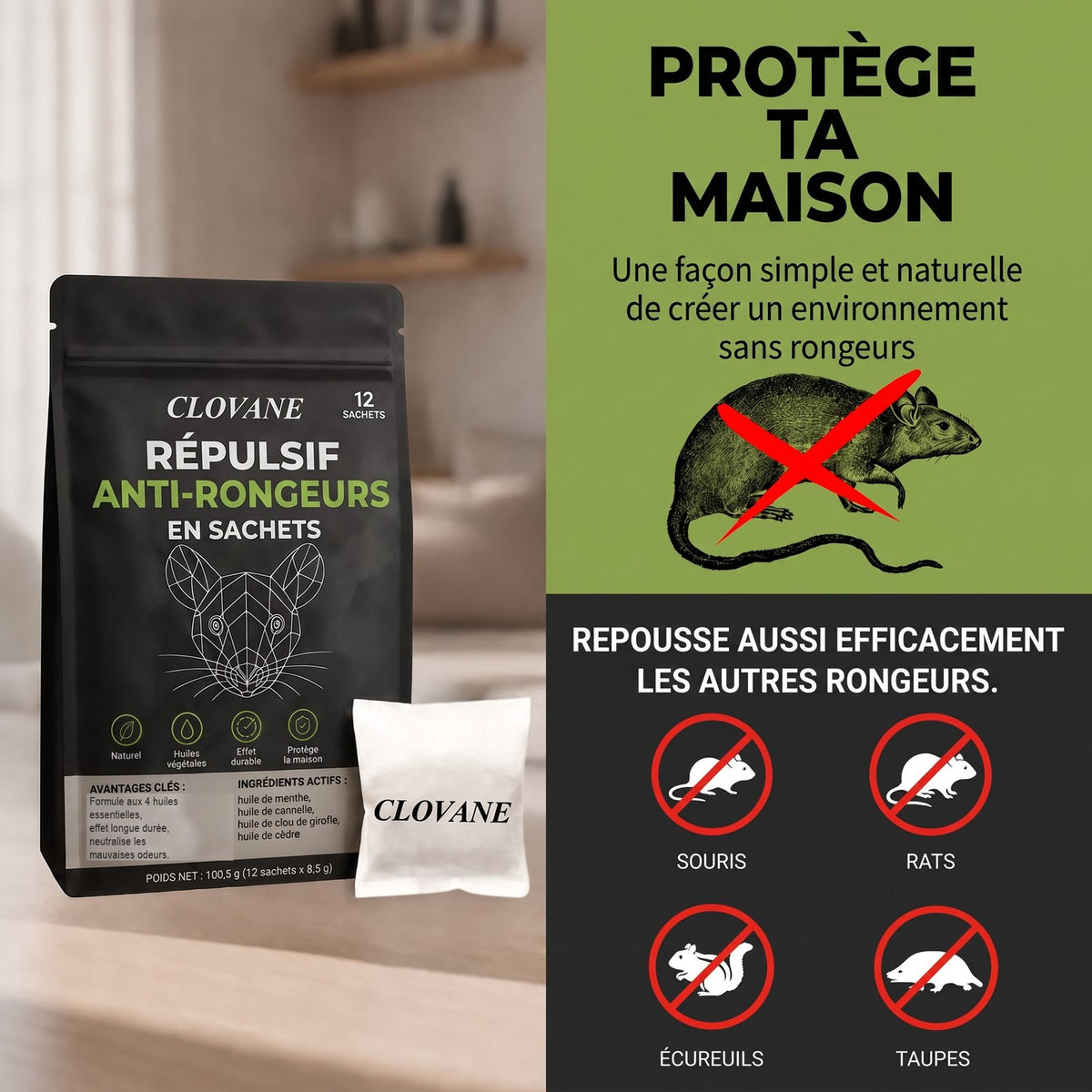 Clovane protège ta maison des rongeurs