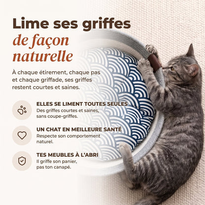 Chat tigré qui griffe le bord du panier Cordélia : il lime ses griffes tout seul, sans coupe-griffes