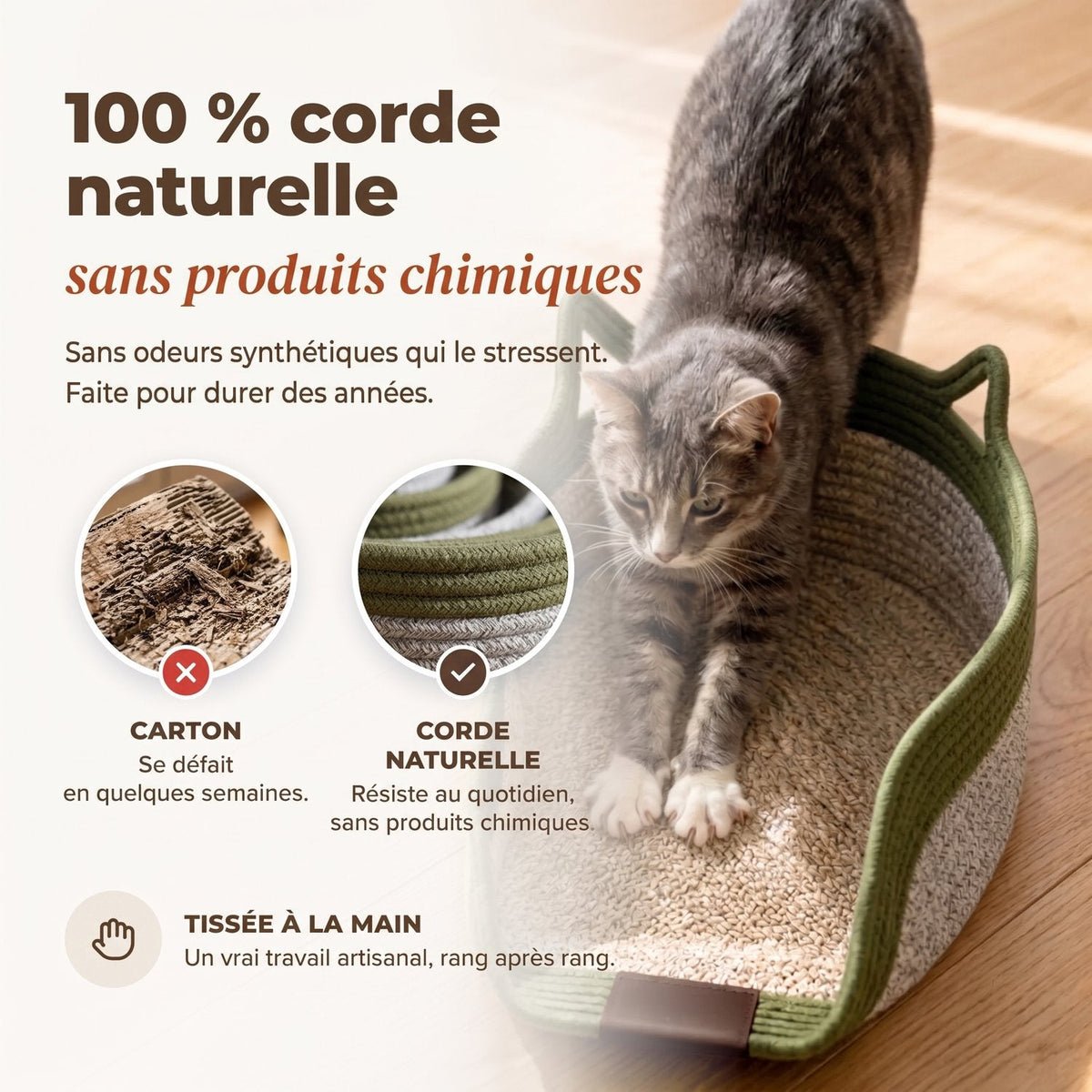 Chat qui s'étire dans un panier Cordélia en corde naturelle, comparé au carton qui se défait