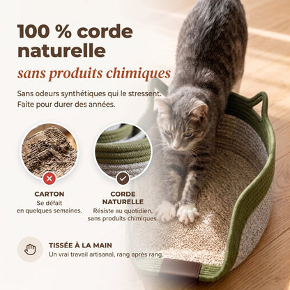 Chat qui s'étire dans un panier Cordélia en corde naturelle, comparé au carton qui se défait