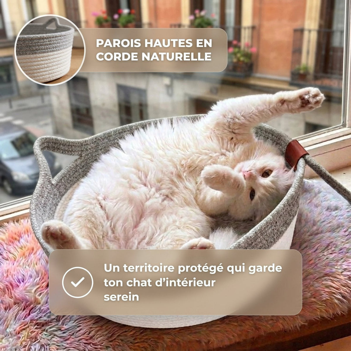 Chat blanc couché sur le dos dans le panier Cordélia gris et blanc, à la fenêtre