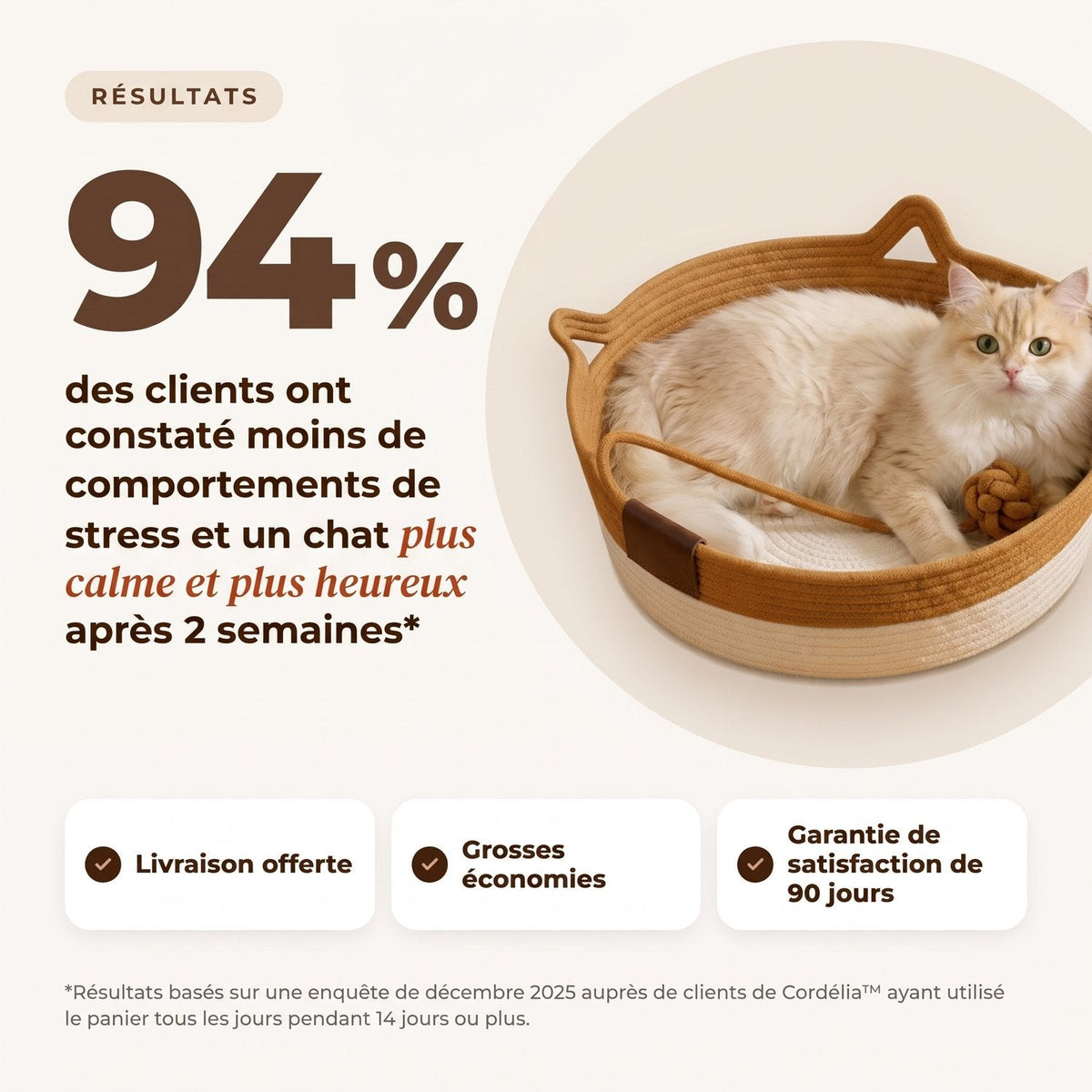Chat crème détendu dans le panier Cordélia caramel et blanc avec sa balle de jeu