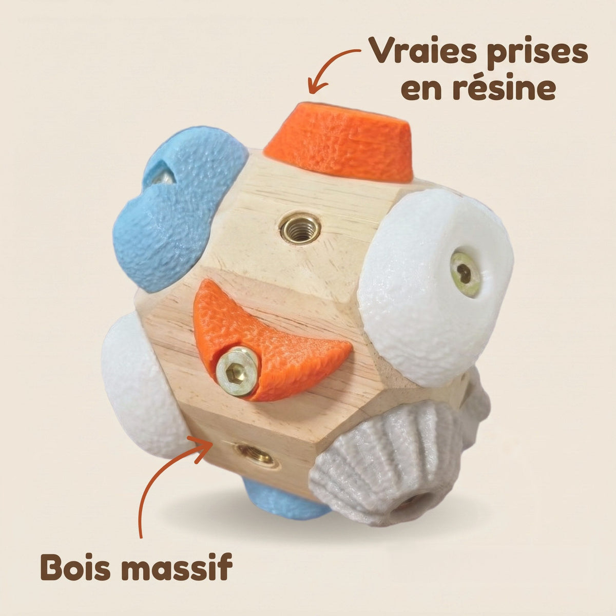 Grimpéa, vraies prises en résine et bois massif