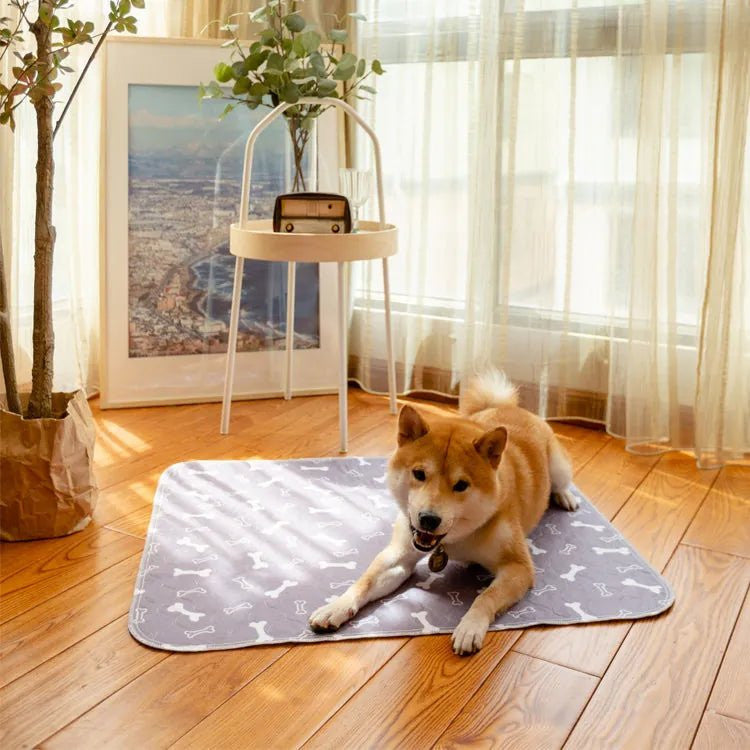 Chien shiba allongé sur le tapis de propreté lavable Pattéa gris à motif os, dans un salon lumineux