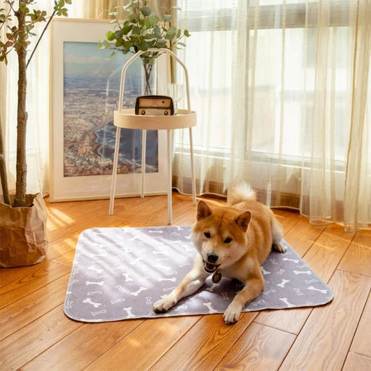 Chien shiba allongé sur le tapis de propreté lavable Pattéa gris à motif os, dans un salon lumineux