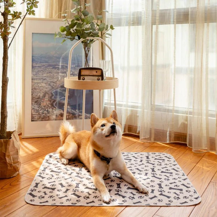 Chien shiba allongé sur le tapis lavable Pattéa Beige à motif os et pattes
