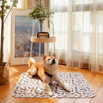 Chien shiba allongé sur le tapis lavable Pattéa Beige à motif os et pattes