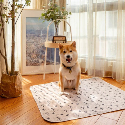 Chien shiba assis sur le tapis lavable Pattéa clair à motif chiots et étoiles