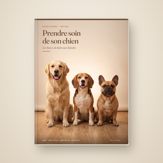 Guide « Prendre soin de son chien », offert avec le tapis Pattéa