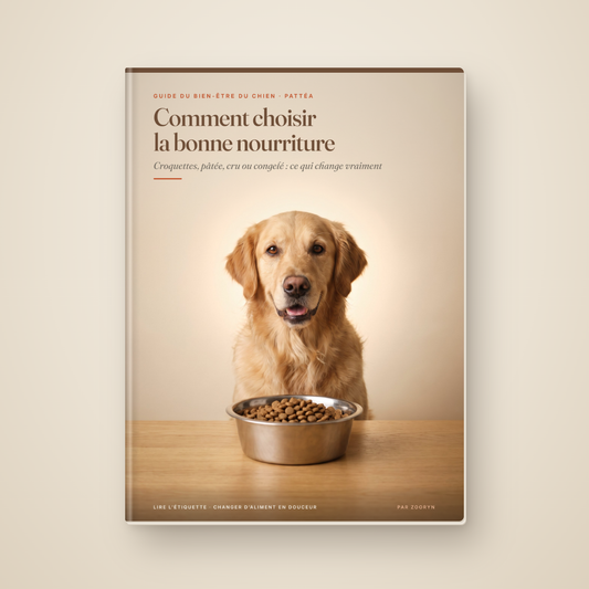 Guide « Comment choisir la bonne nourriture », offert avec le tapis Pattéa
