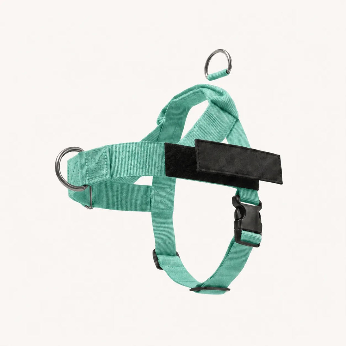 Harnais Promélia turquoise