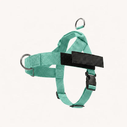 Harnais Promélia turquoise