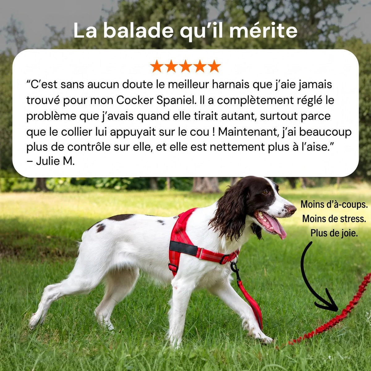 La balade qu'il mérite