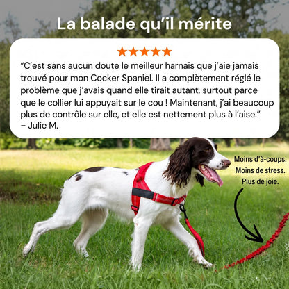 La balade qu'il mérite