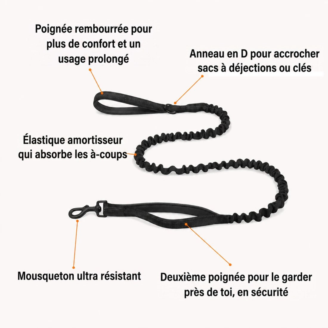 Laisse élastique anti-à-coups