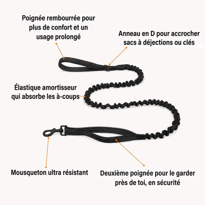 Laisse élastique anti-à-coups