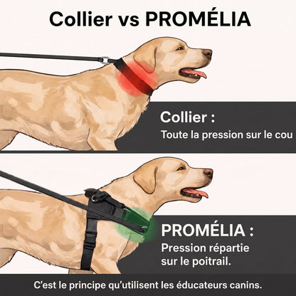 Collier vs Promélia