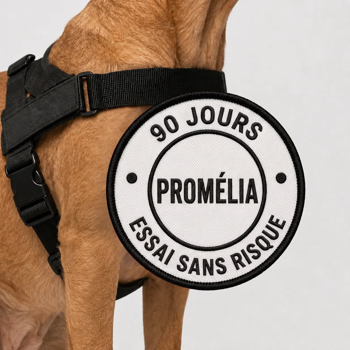 90 jours d'essai sans risque