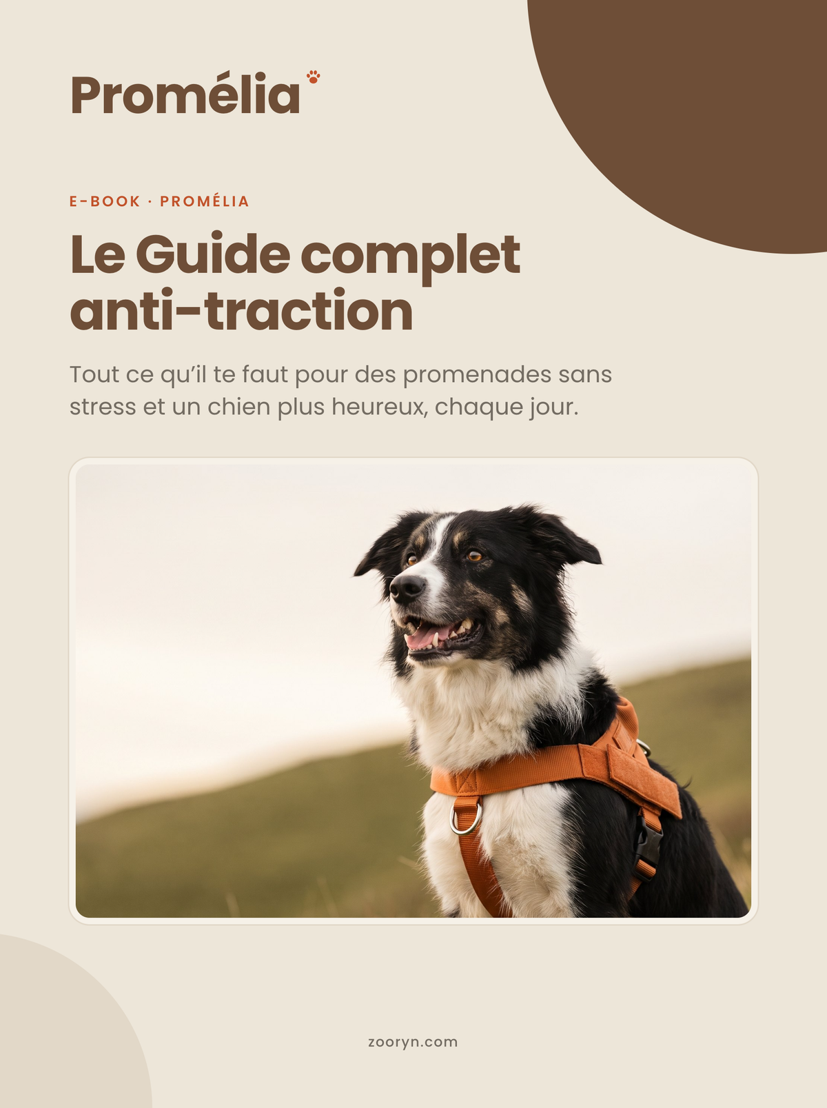 Couverture du Guide complet anti-traction, format PDF de 13 pages