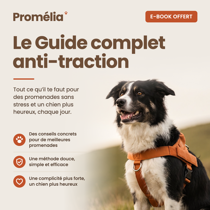 Le Guide complet anti-traction, e-book Promélia
