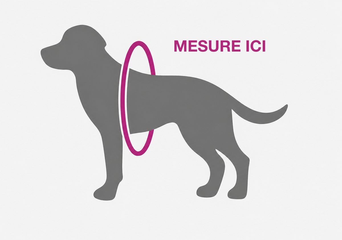 Mesure le tour de poitrail de ton chien