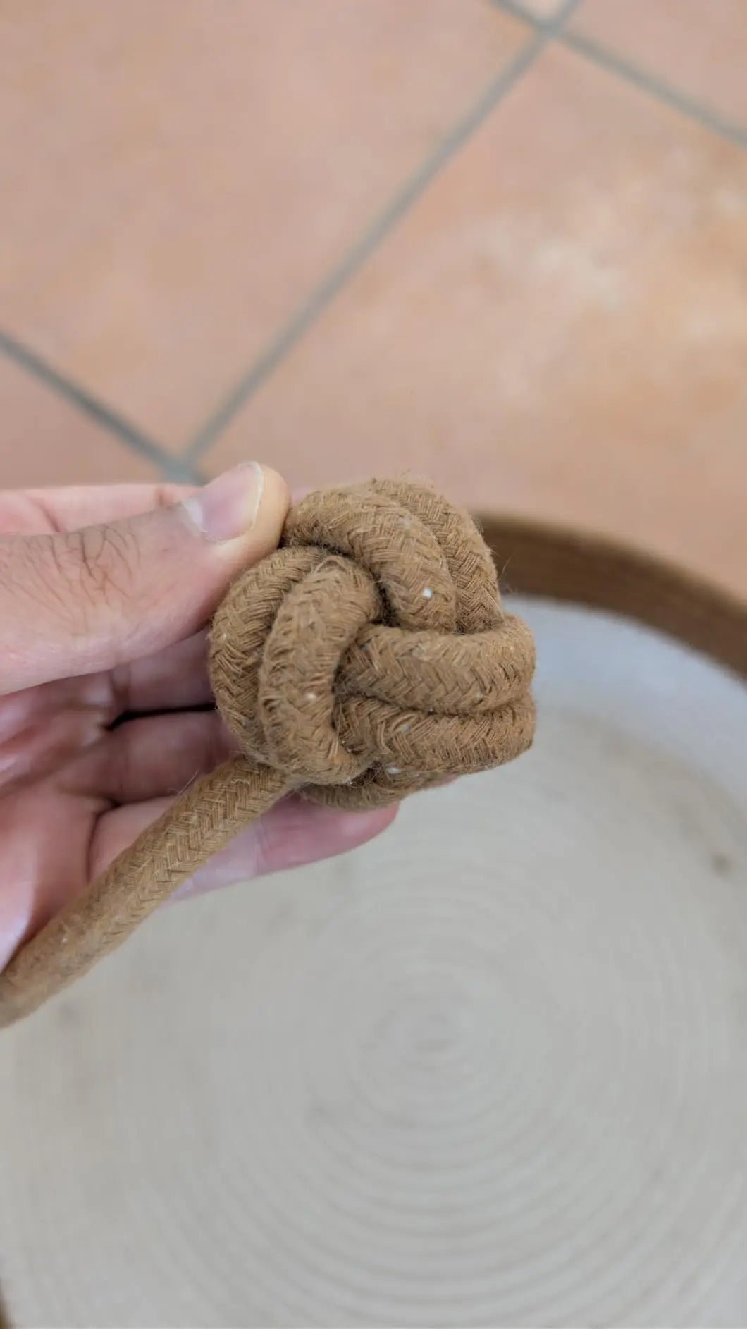 Photo de Guillaume A. : la balle de jeu du panier Cordélia
