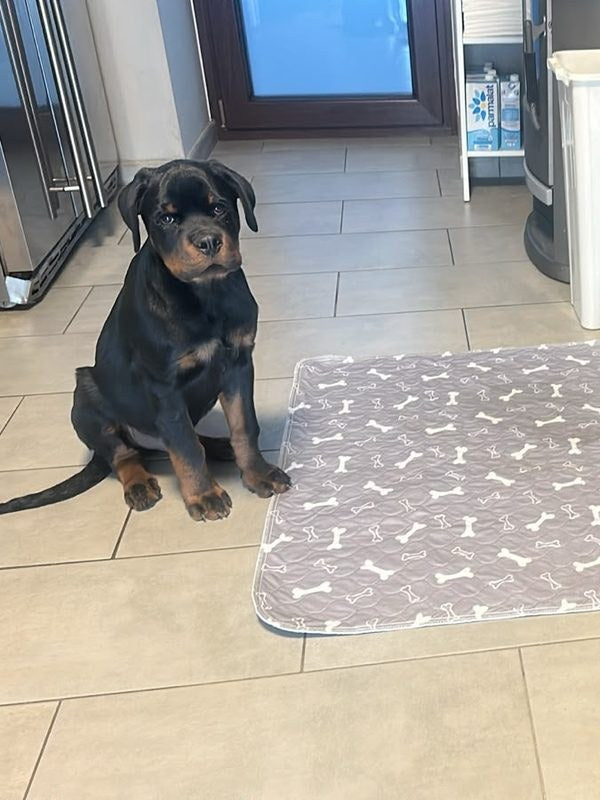 Anne G. avec son tapis Pattéa