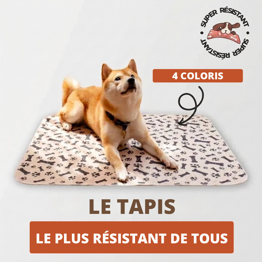 Tapis lavable Pattéa, le tapis qui dure